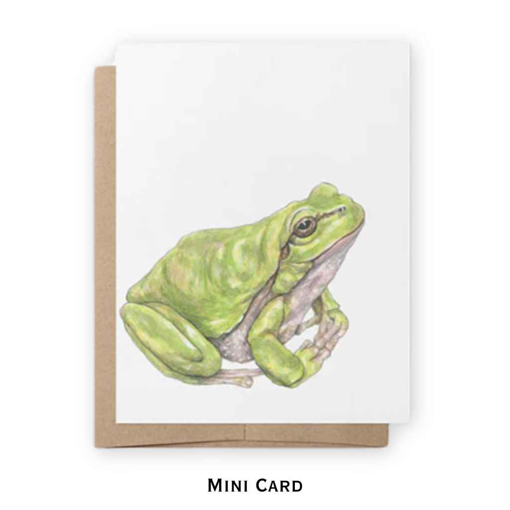 Mini Notecards | Frog