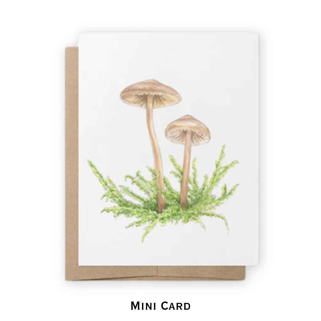 Mini Notecards | Mushrooms