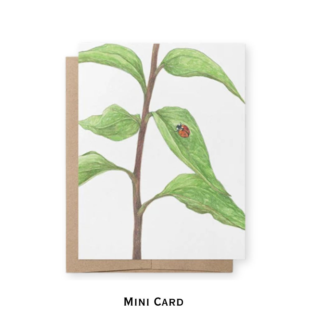 Image of a leaf with ladybug on it on a mini card with brown Kraft envelope behind it.