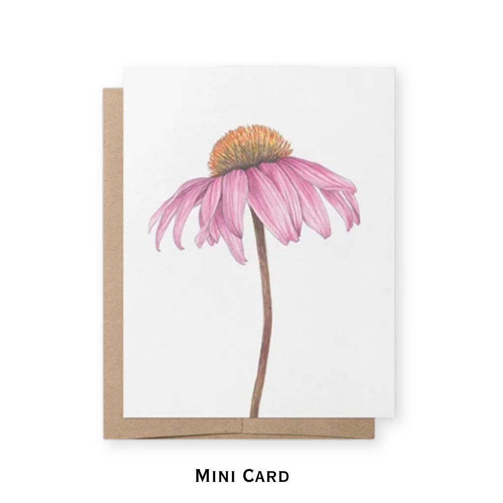 A mini greeting card featuring a watercolor-style pink coneflower with a brown stem on a white card, shown with a kraft envelope behind it on a white background. The text 'MINI CARD' appears below.