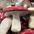 Mushroom Ornaments