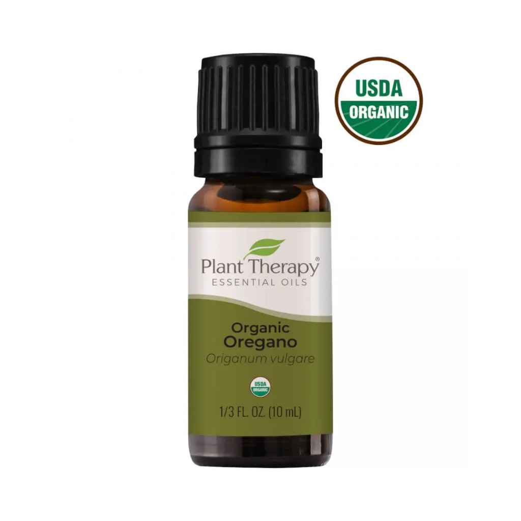 Organic Essential Oil | Oregano