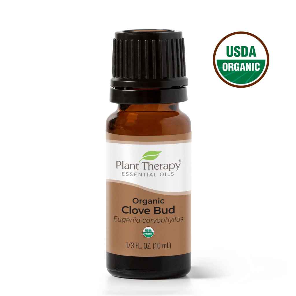 Organic Essential Oil | Clove Bud