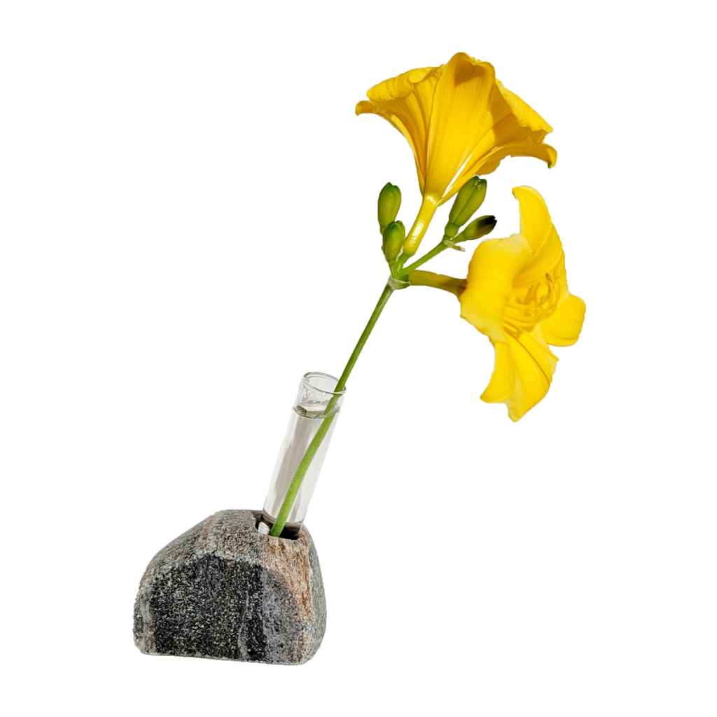 Living Bloom Bud Vase