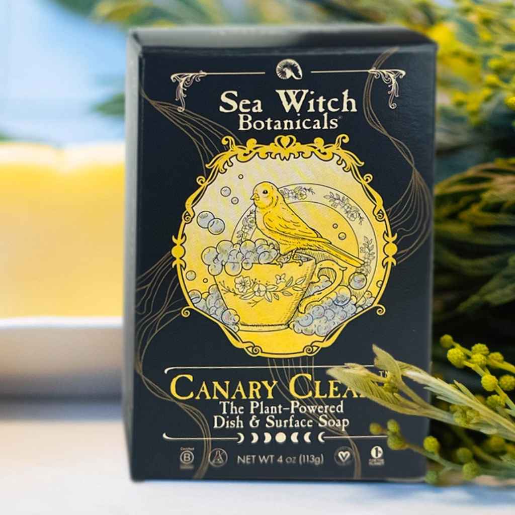 CANARY CLEAN All Natural Dish &amp; Surface Soap - plant-based, plastic-free, made by Sea Witch Botanicals. Black box with yellow canary design.