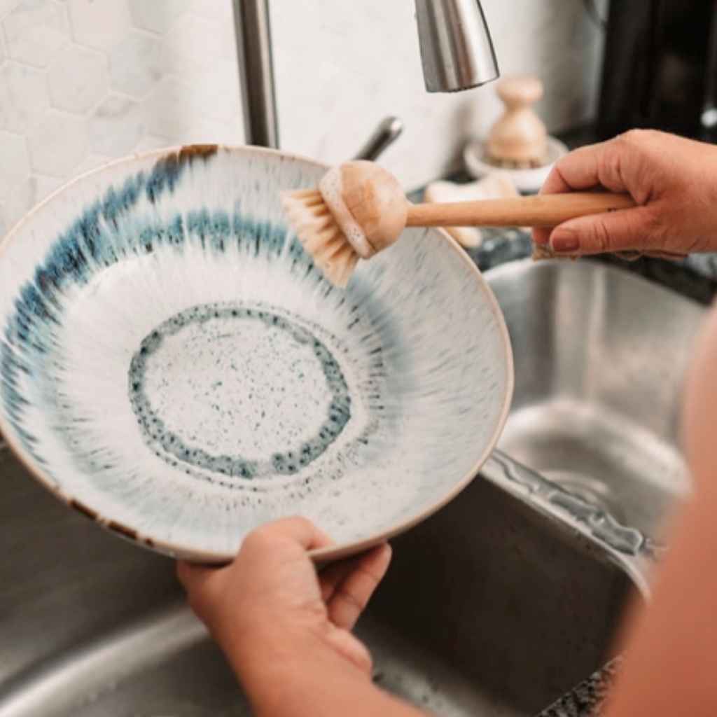 Dish Brush | One-Piece Handle & Replaceable Brush Head