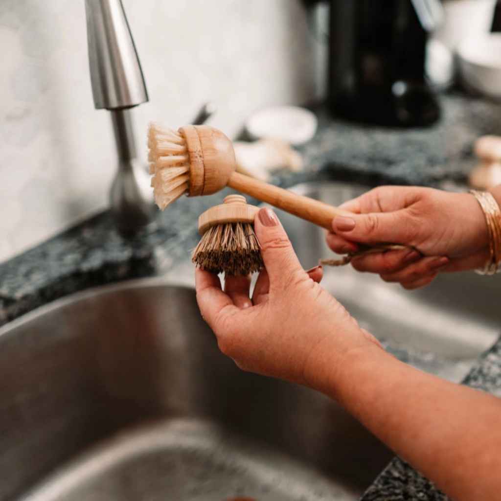 Dish Brush | One-Piece Handle & Replaceable Brush Head
