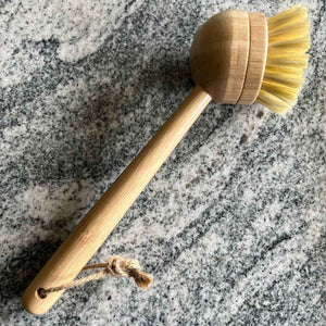 Dish Brush | One-Piece Handle & Replaceable Brush Head