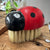 Natural Lady Bug Brush