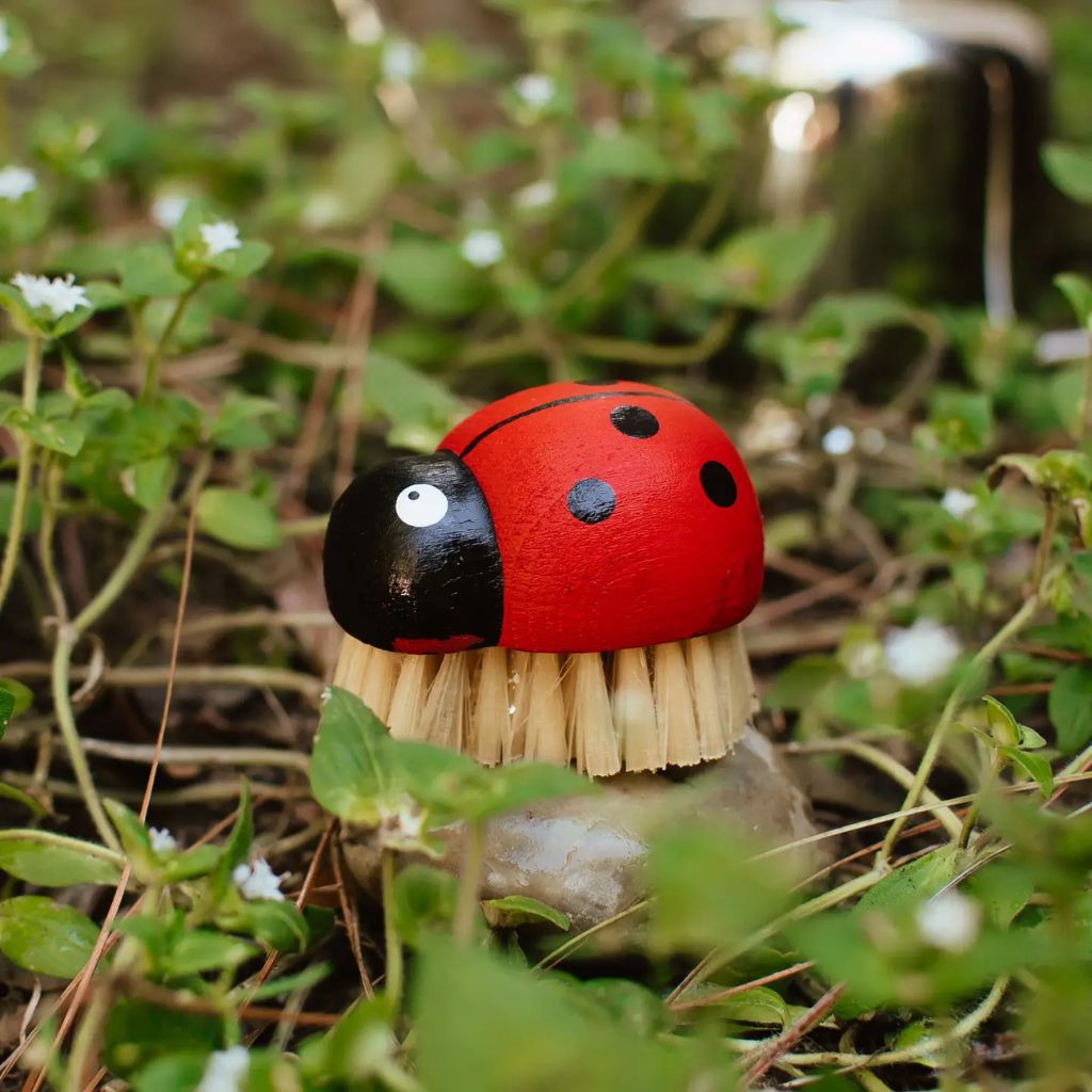 Natural Lady Bug Brush