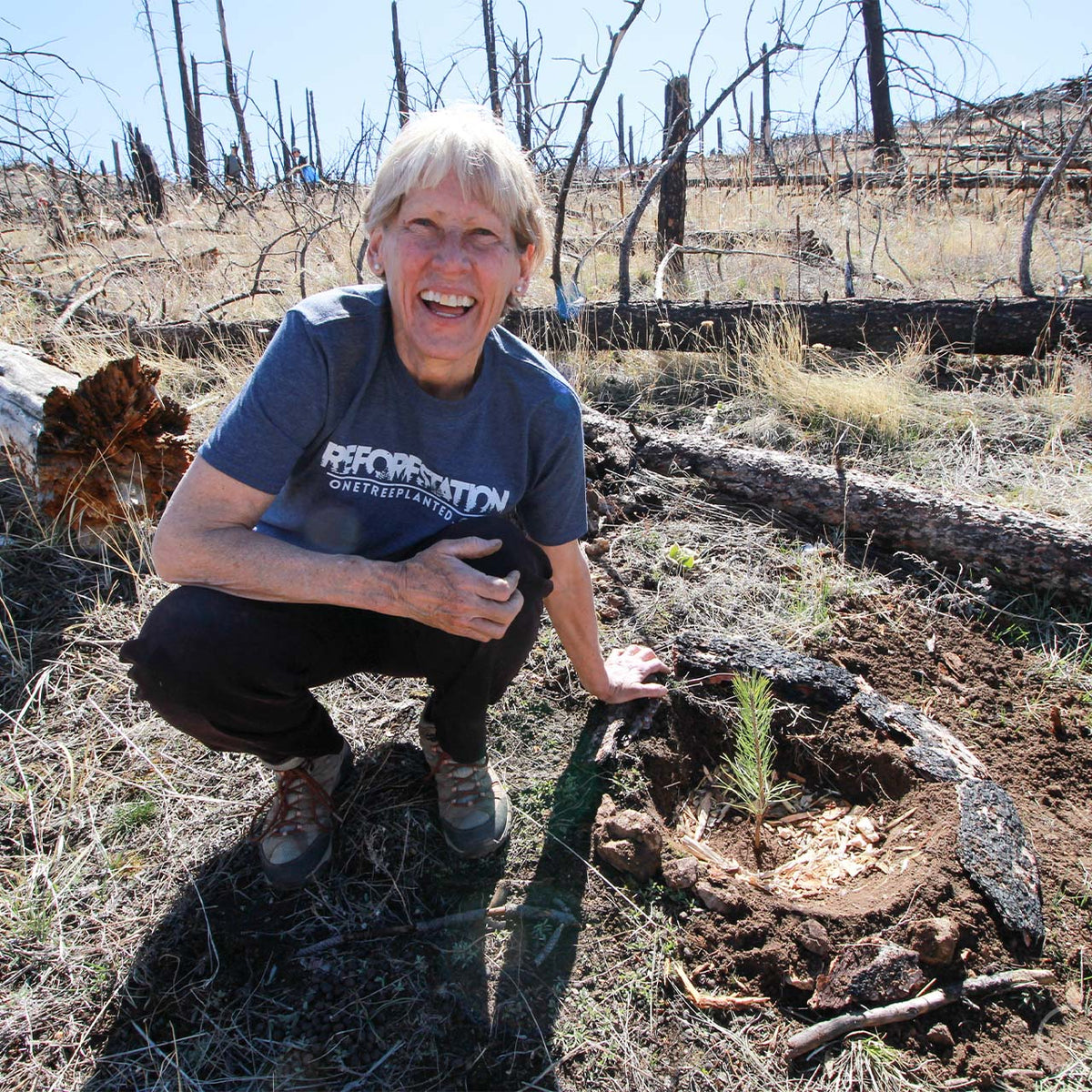 Yes! ADD TO CART & Ship my order in a gently-used box & plant a tree for me!
