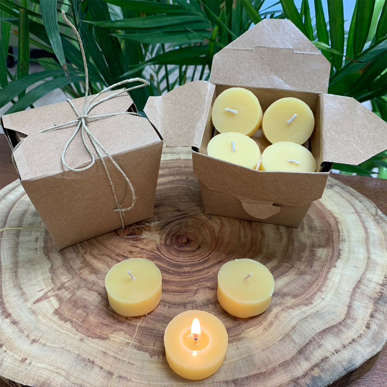 Pure, 100% Beeswax Tea Light Candles, Refills in Different Colors. BULK  saving!