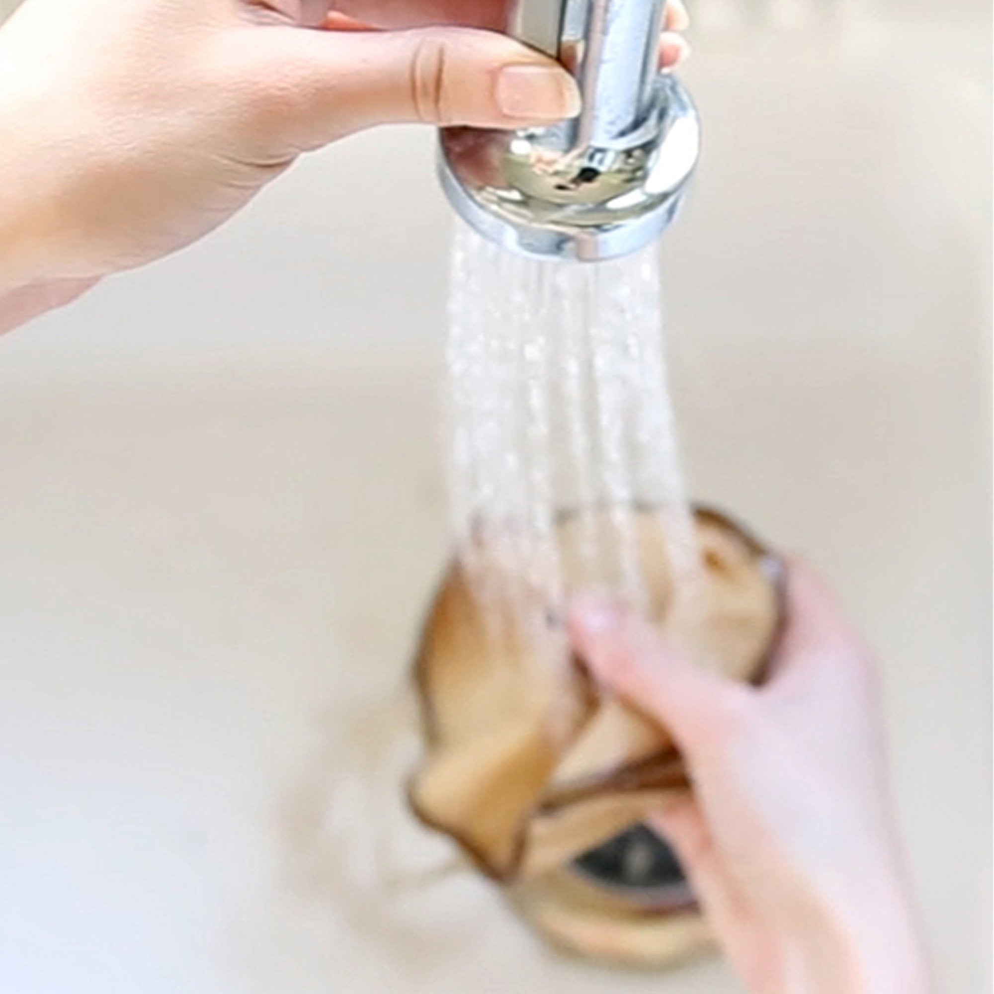 two hands washing reusable coffee filter in sink under faucet