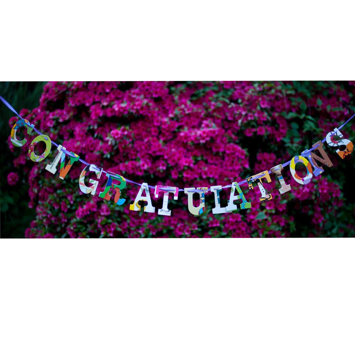Multicolored, collage style &quot;congratulations&quot; hanging outdoors in front of flowery pink shrub in full bloom
