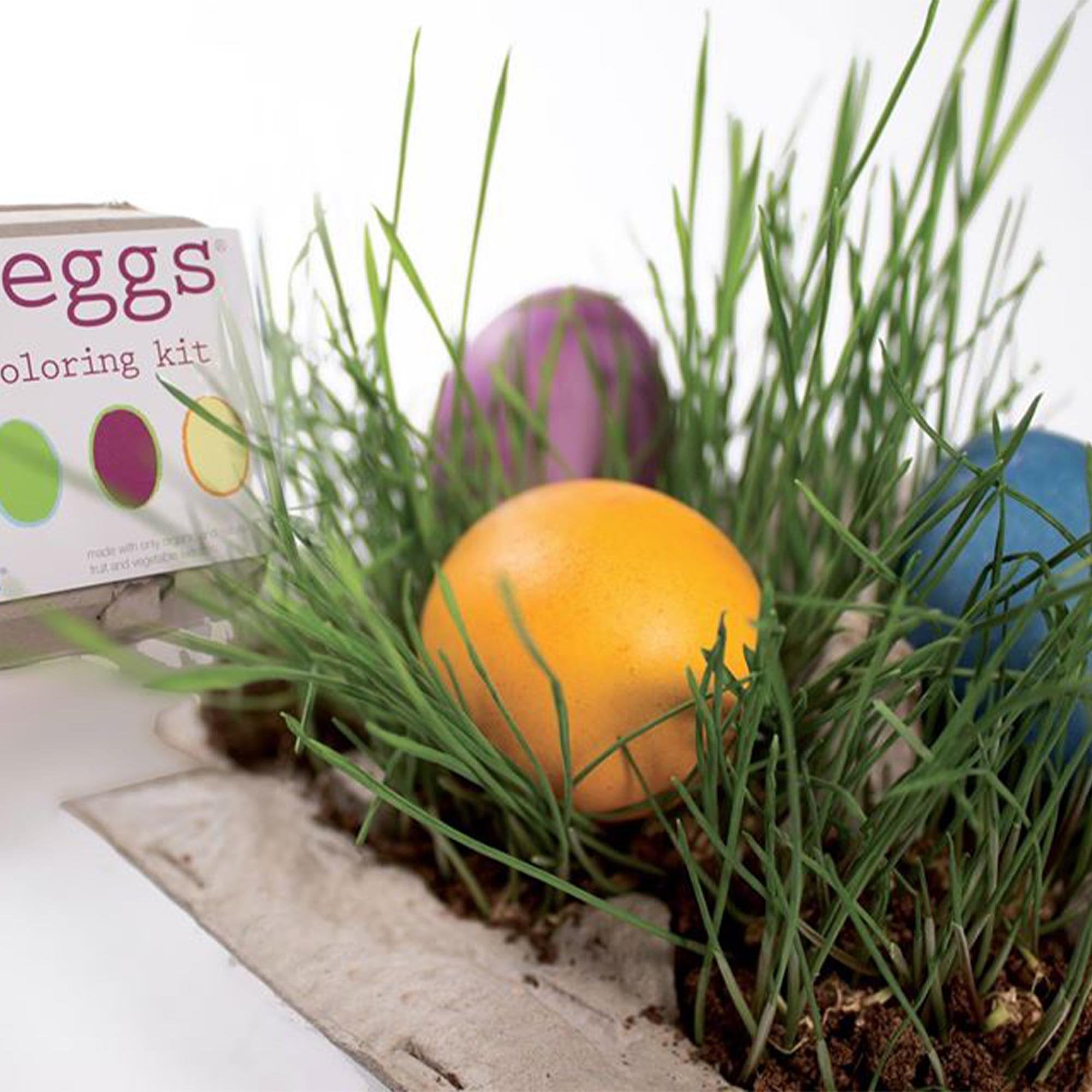 Eco-Kids Egg Coloring Kit  Hopscotch Children's Store