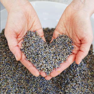 two hands holding dried lavender over bucket of lavender. dried lavender formed in the shape of a heart