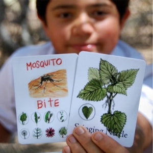 child, boy, holds two oversized game cards, left reads mosquito bite, right reads stinging nettle, both with illustrations