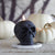 Black beeswax skull candle with lit flame, white pumpkin gords in the background