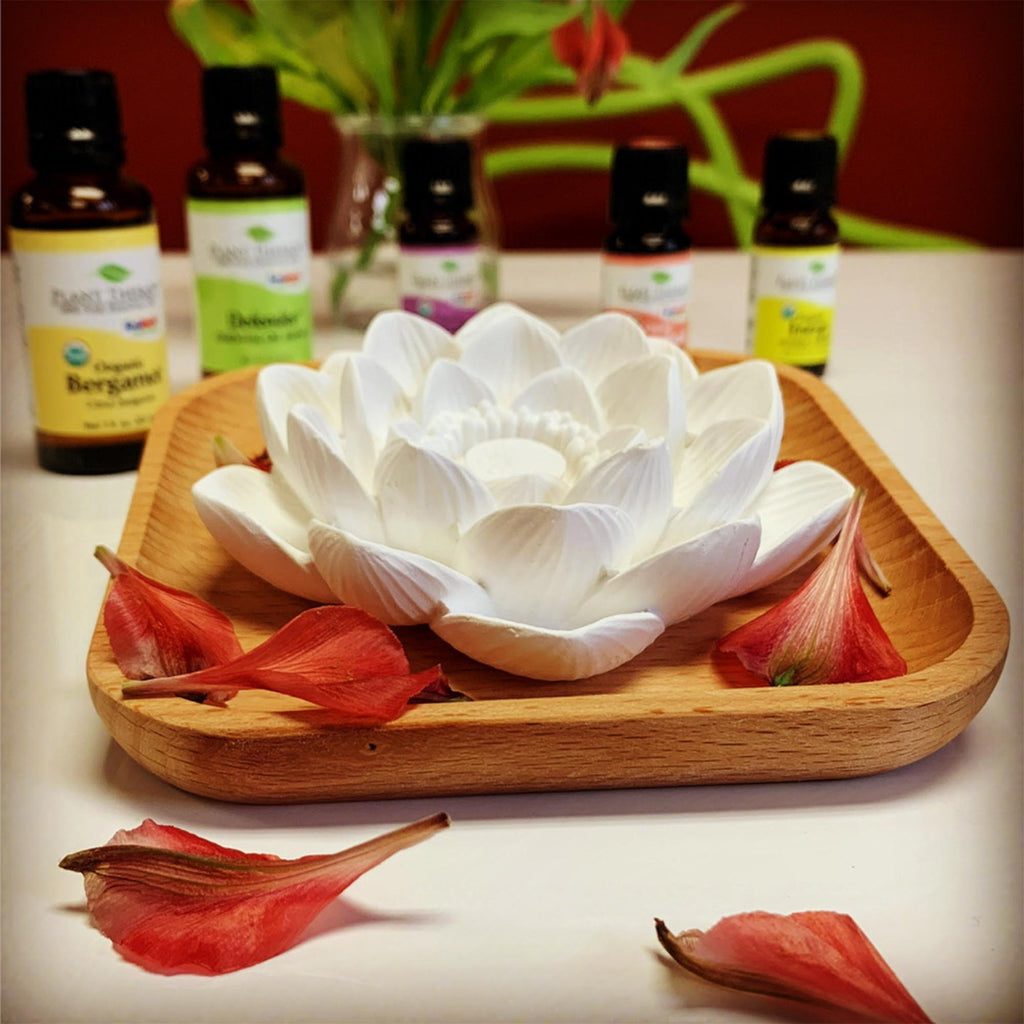 Passive Essential Oil Diffuser by Plant Therapy - Lotus - What's Good