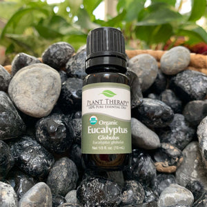 black bottle with dark green label. eucalyptus essential oil blend, displayed on assorted rocks. 10 ml
