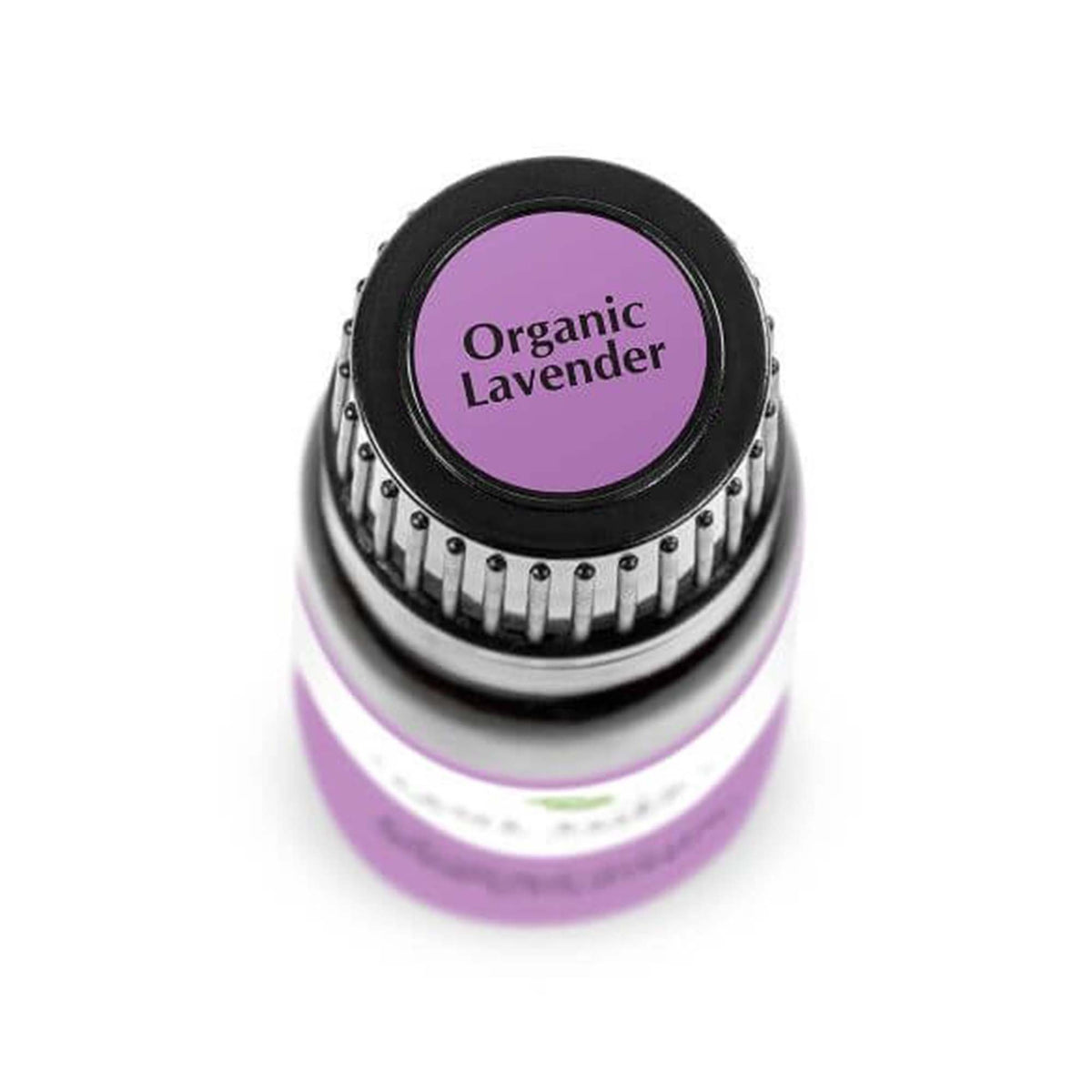 birds eye view of black bottle with purple label. reads &quot;organic lavender&quot; 10 ml
