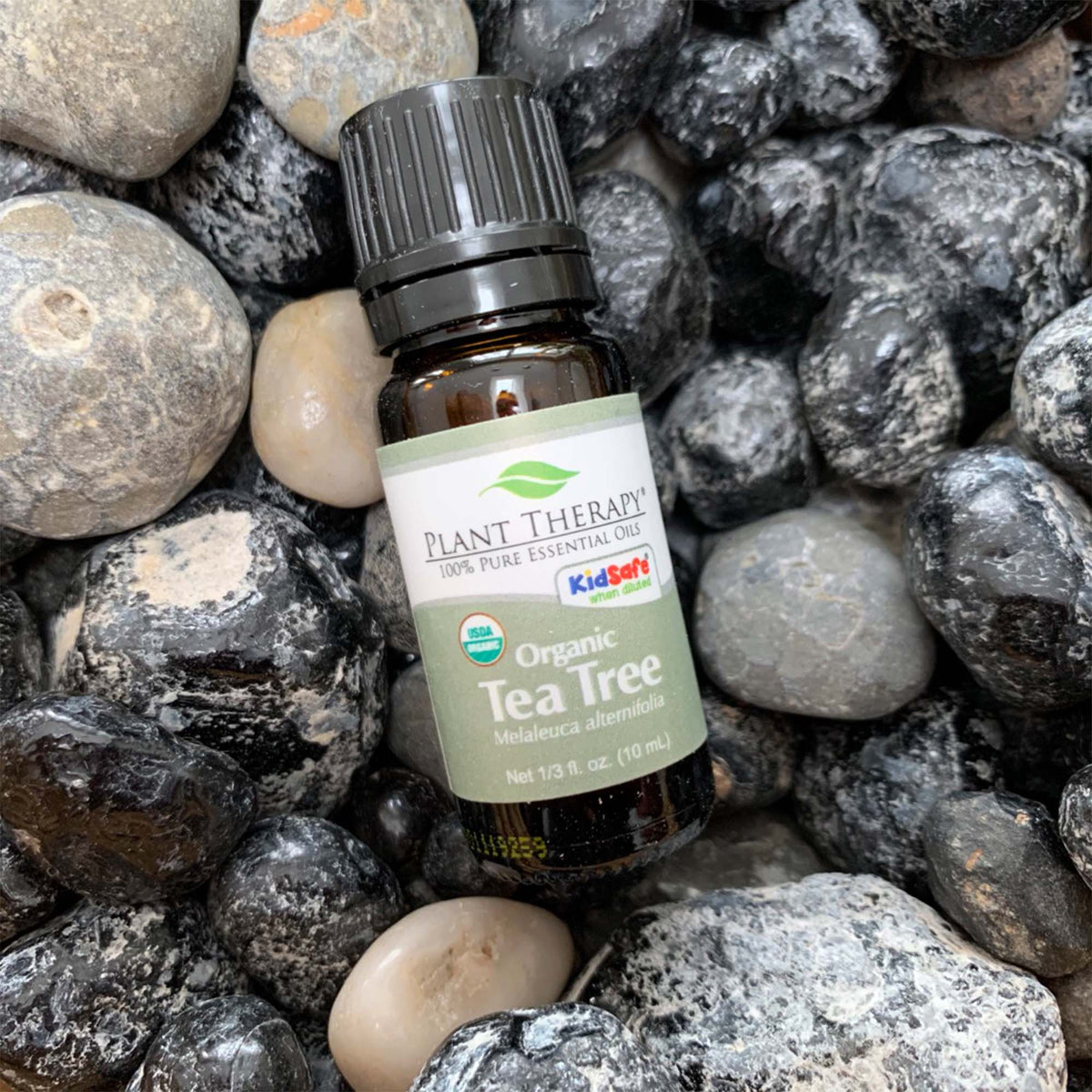 10 ml back bottle with grey label, organic tea tree blend