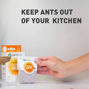 Stay Away Ants -Stay Away Ants ONLY--What's Good