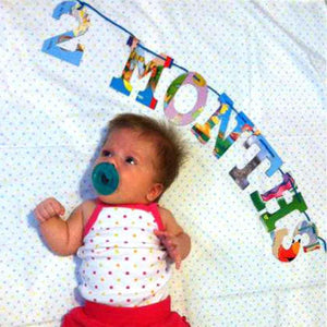 Board Book Garland — Baby's Monthly Milestone Kit