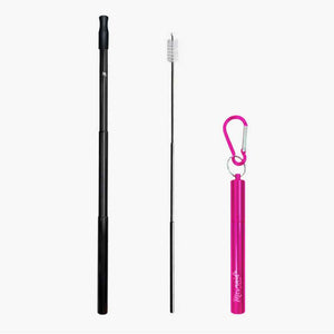 telescopic stainless steel straw with cleaning brush and metal keychain carrying case, pink