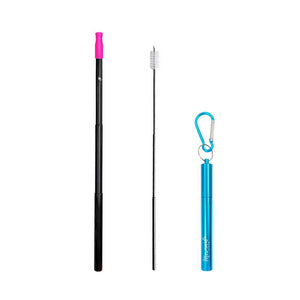 telescopic stainless steel straw with cleaning brush and metal keychain carrying case, blue