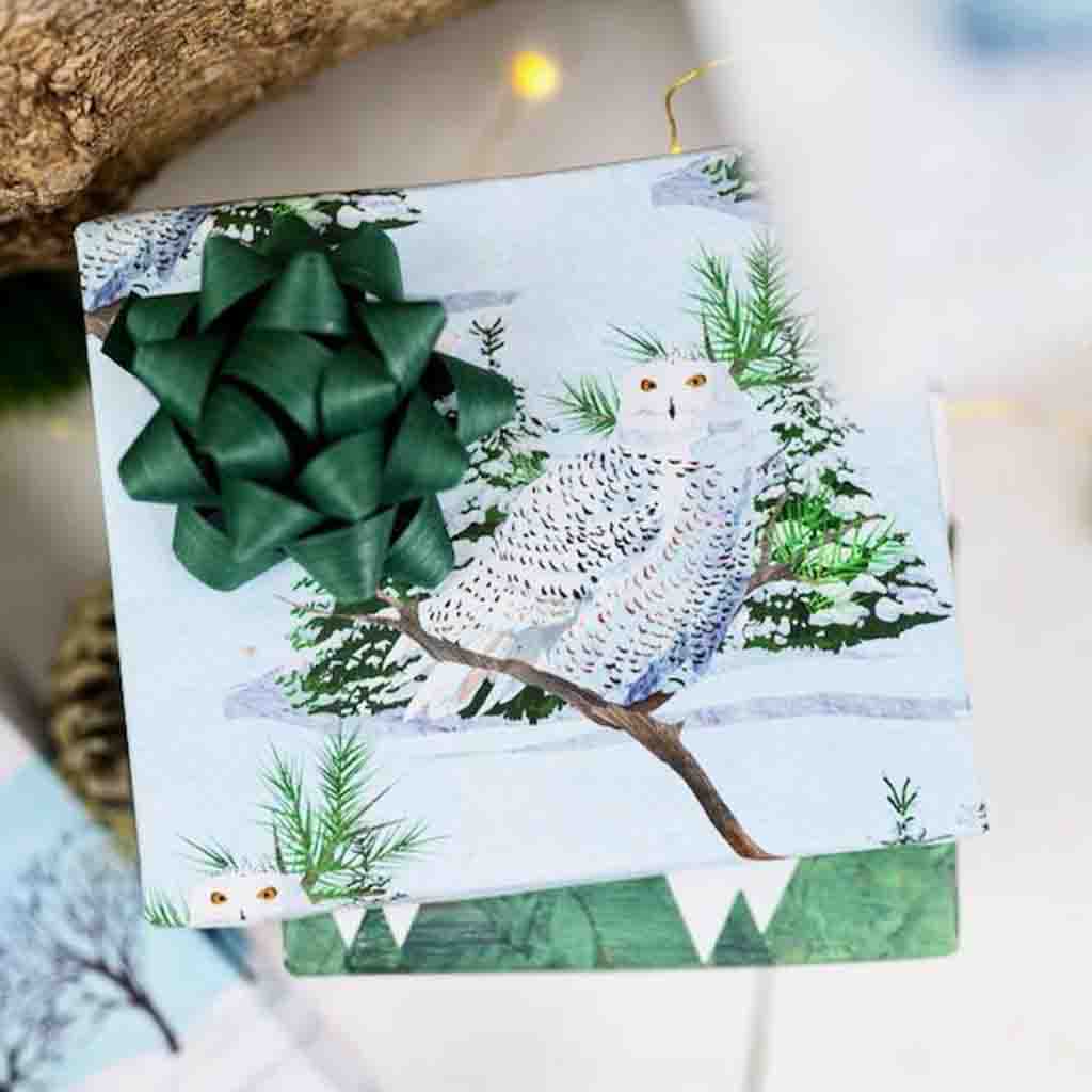 Eco-Friendly Wrapping Paper — Snowy Owl