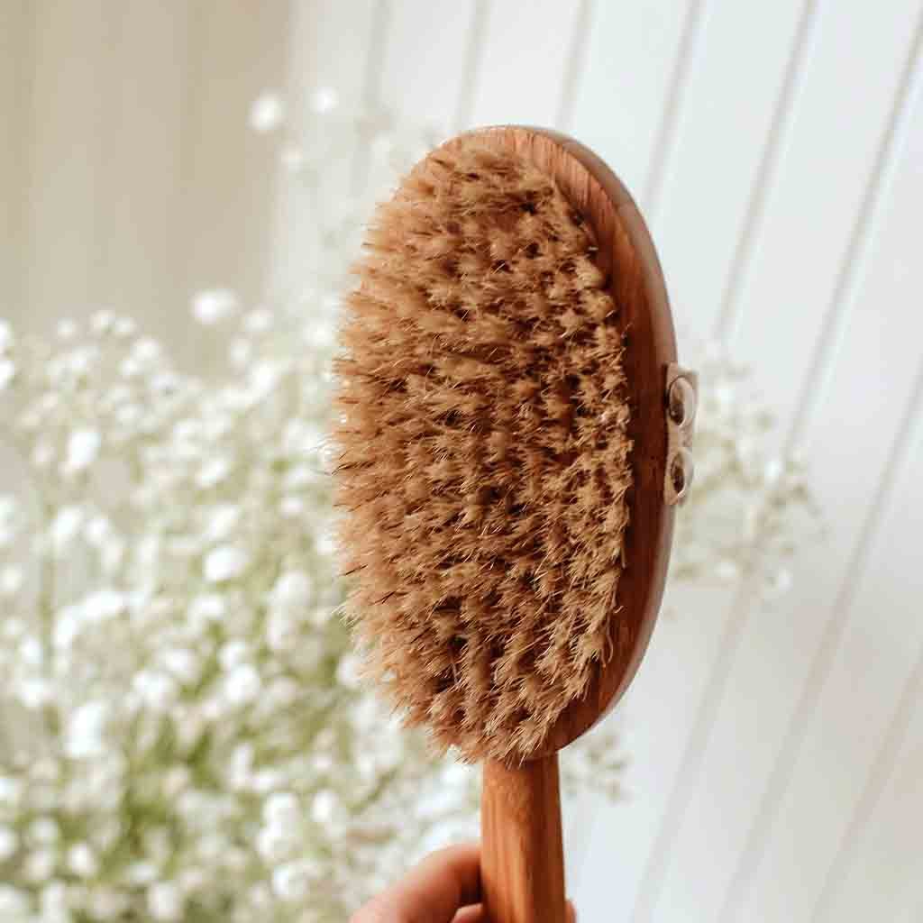 All Natural Body Brush ---What's Good