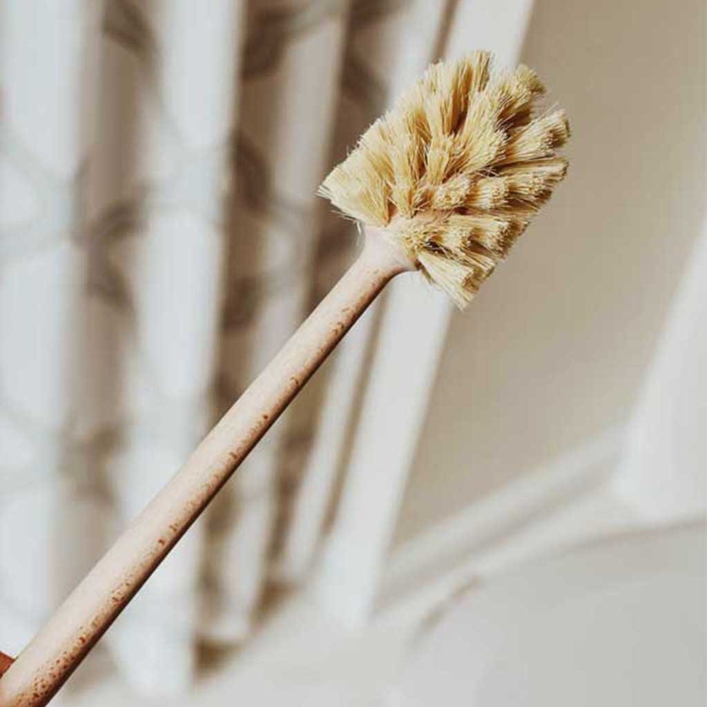 Toilet Brush ---What's Good